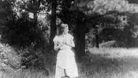 «Алиса в Стране чудес (1915)» — обои к фильму #9
