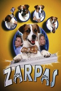 Poster de Paws
