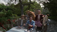 «Деревенщина из Беверли-Хиллз (1993)» — обои к фильму #1