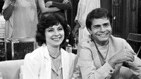 «Крылатое сердце (1980-1981)» — обои к сериалу #2