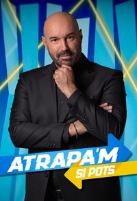Poster de Atrapa'm si pots