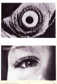 Постер фильма «Ищущий глаз (1964)» — (1 из 3)
