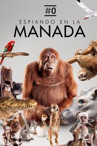 Poster de Spy in the Wild