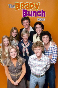 Постер сериала «The Brady Bunch Variety Hour (1976-1977)» — (2 из 3)