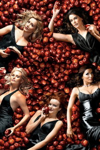 Постер сериала «Отчаянные домохозяйки (2004 - 2012)» — (13 из 95)