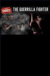 The Guerilla Fighter (2016) poster