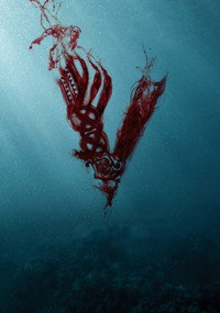 Постер сериала «Викинги (2013 - 2020)» — (17 из 90)