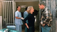 «Allein unter Männern (2001)» — обои к фильму #2