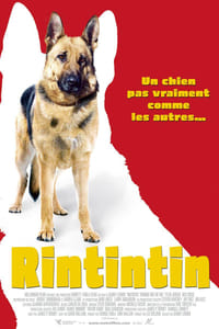 Las nuevas aventuras de Rin-Tin-Tin