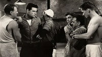 «Чайки над Сорренто (1954)» — обои к фильму #1
