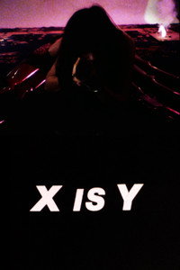 Постер фильма «X Is Y (1990)» — (3 из 6)