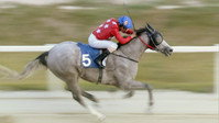 «Smiling Jockey (2022)» — обои к фильму #2
