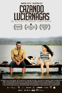 Cazando luciernagas (2013)