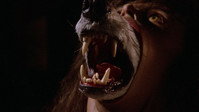 La Compagnie des Loups