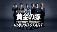 «Золотая свинка (2010)» — обои к сериалу #1