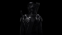 Обои к фильму «Голодные игры: Сойка-пересмешница. Часть I (2014)» — (16 из 81)