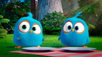 «Angry Birds. Пушистики (2017-2022)» — обои к мультсериалу #7