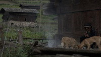 «Mishing (The Apparition) (2018)» — обои к фильму #2