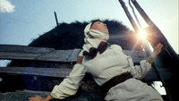 «Тени забытых предков (1964)» — обои к фильму #4