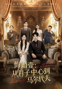 悔婚壹：从月子中心到马尔代夫