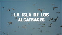 The Island of the Gannets