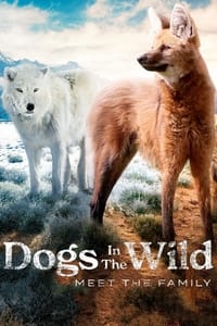 tv show poster Dogs+in+the+Wild%3A+Meet+the+Family 2022