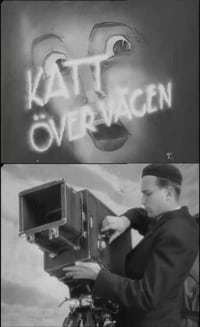 Katt över vägen (1937)