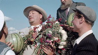 «Верные друзья (1954)» — обои к фильму #6