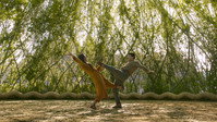 Shang-Chi et la Légende des Dix Anneaux