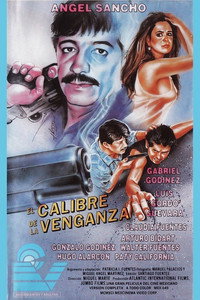 Постер фильма «El calibre de la venganza (1991)» — (1 из 1)