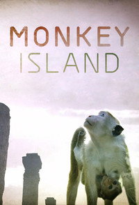Постер к фильму Donkey Island (2020)