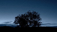 «Cerca de las nubes (2006)» — обои к фильму #1