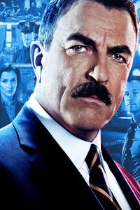 Постер сериала «Голубая кровь (2010 - 2024)» — (34 из 149)