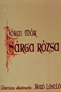 Sárga rózsa