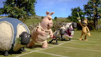 «Shaun the Sheep Championsheeps (2012)» — обои к мультсериалу #5