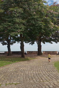 Imagem do Filme Me levem, nossas manhãs quentes