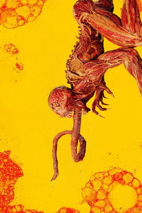 Постер сериала «Обитель зла (2022)» — (13 из 39)
