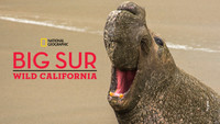 Big Sur: Wild California
