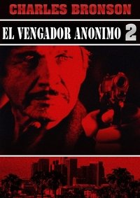 Poster de El vengador anónimo 2