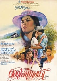 ดอกโสนบานเช้า (1979)