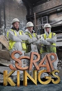 copertina serie tv Scrap+Kings 2017