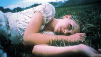 Virgin suicides