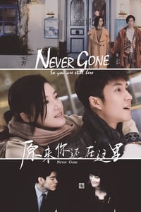 tv show poster Never+Gone 2018