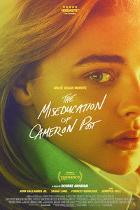 Постер фильма «Неправильное воспитание Кэмерон Пост (2017)» — (5 из 50)