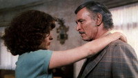 «Идеальный убийца (1977)» — обои к фильму #1