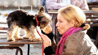 «Zastrený hlas (2006)» — обои к фильму #10