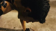 «Hanuman klook foon (2008)» — обои к фильму #1