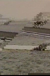 movie-images