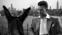 «Френсис в большом городе (1953)» — обои к фильму #2