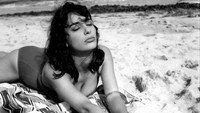 «Ухажеры (1961)» — обои к фильму #5